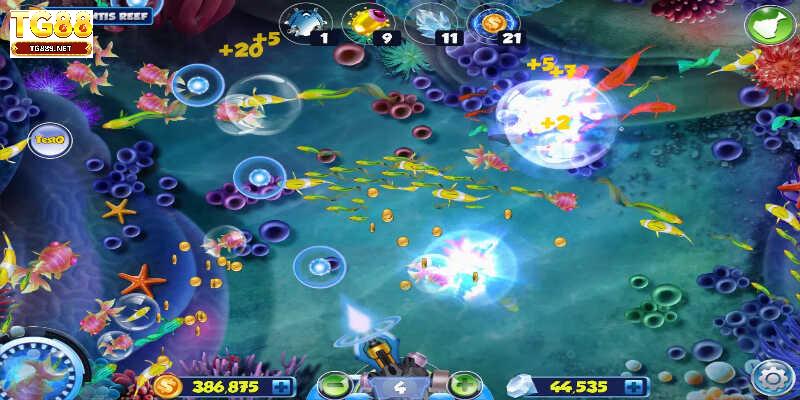 Bắn cá đi kèm sự tỉnh táo và kiểm soát kỹ thuật