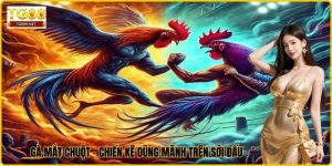 Gà Mắt Chuột - Chiến Kê Dũng Mãnh Trên Sới Đấu